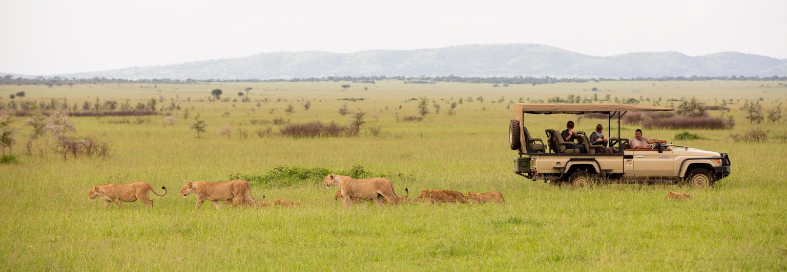 14-Day Tanzania Cultural & Wildlife Tour