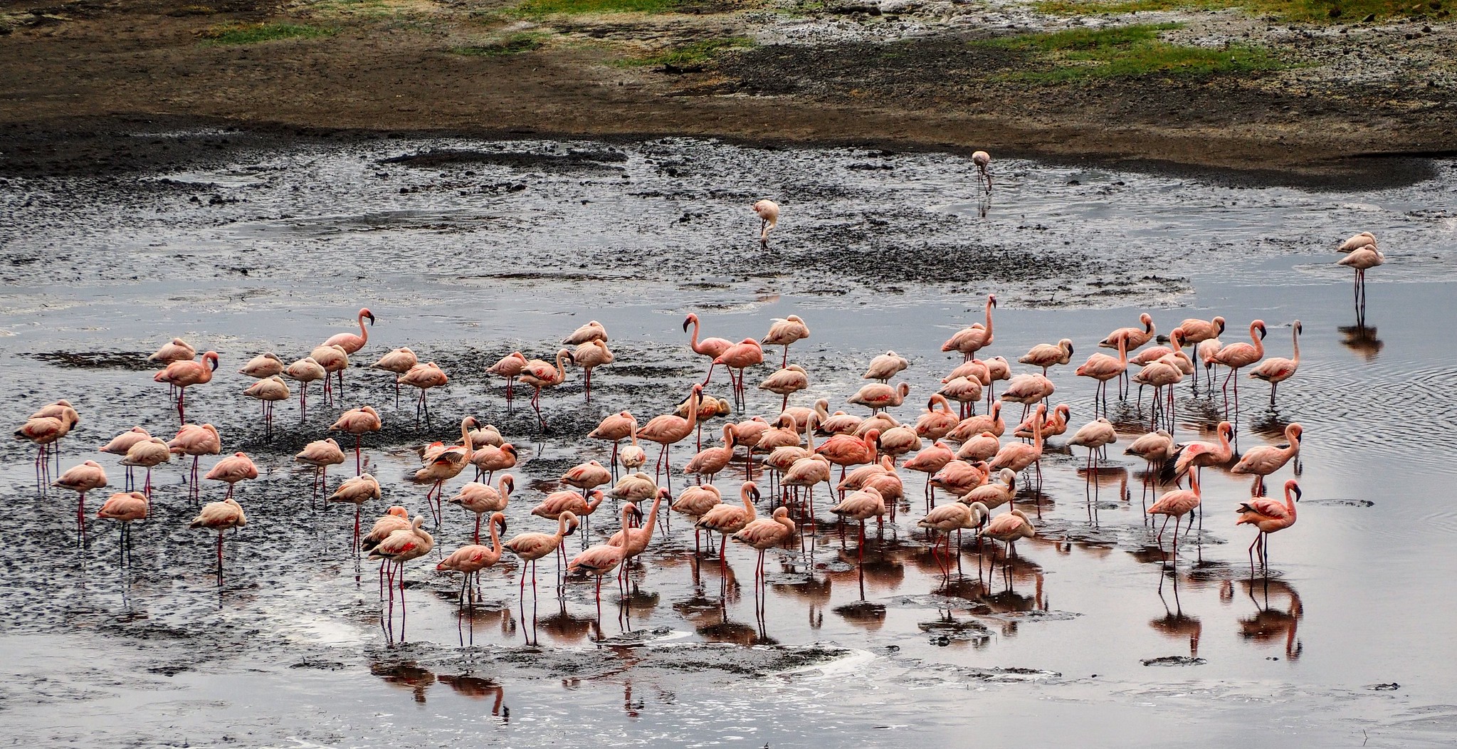 Arusha National Park