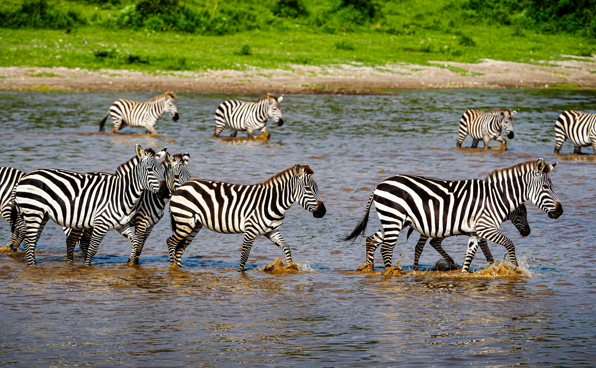 Ngorongoro National Parks