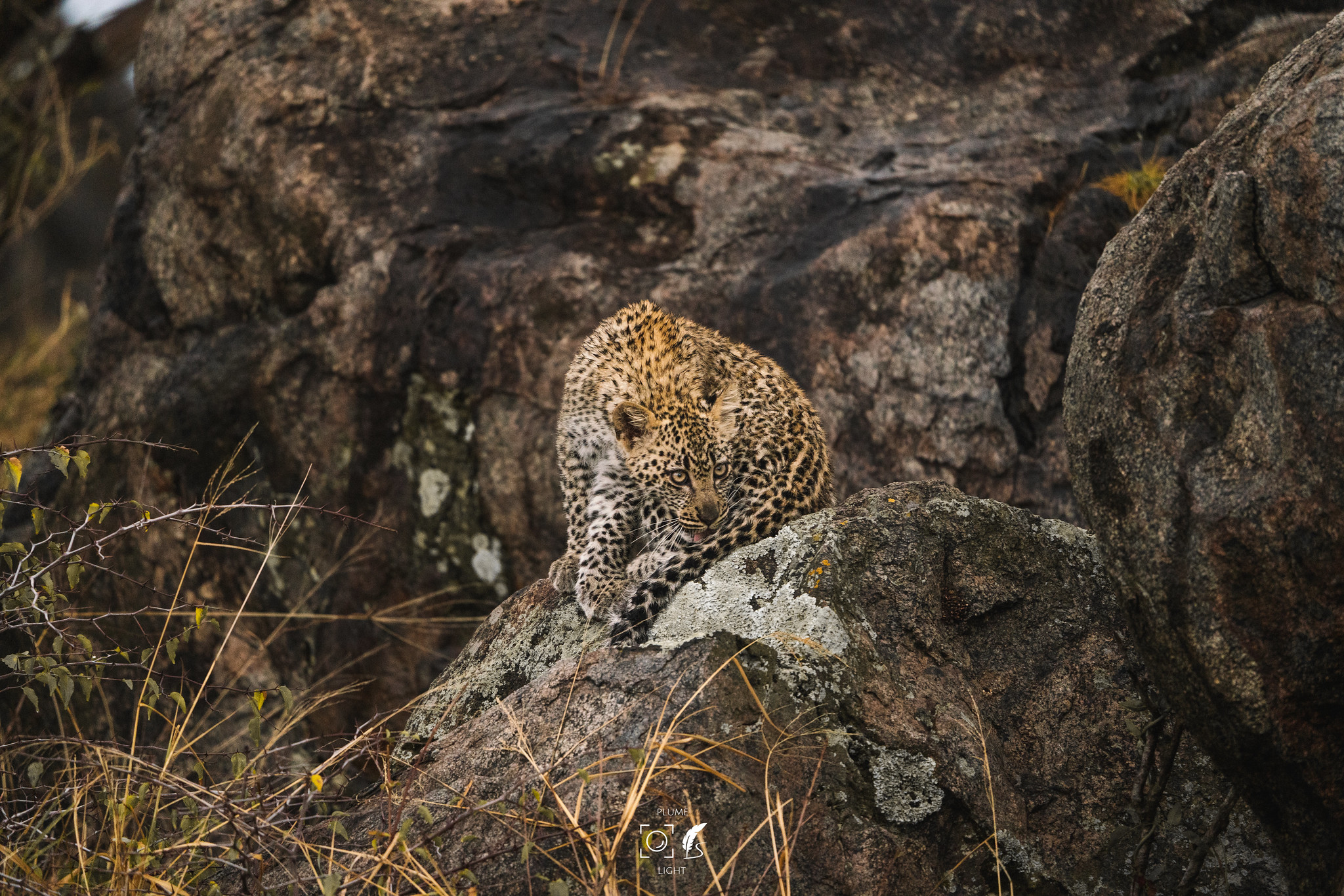 Serengeti National Park