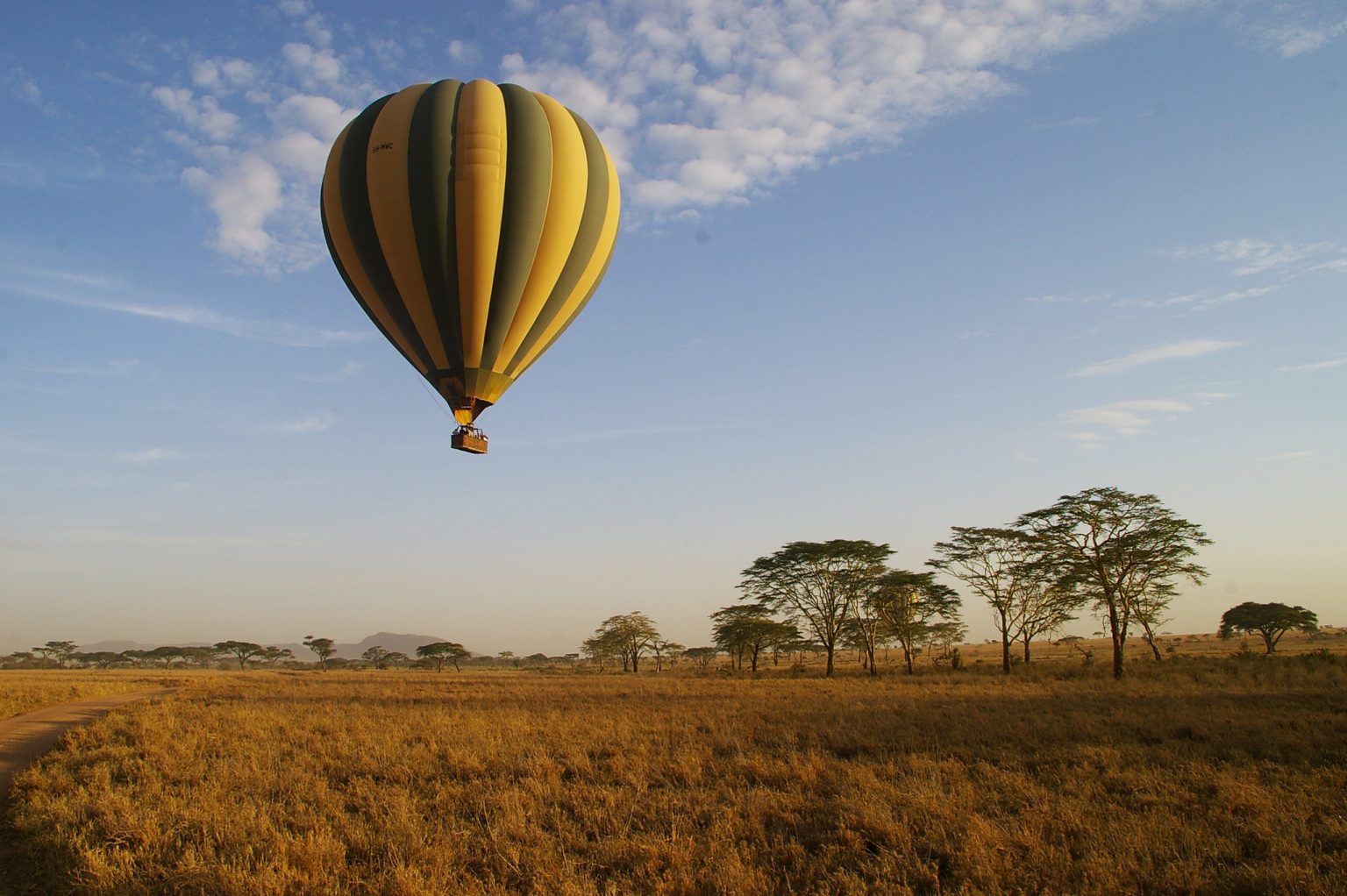 Serengeti balloon safaris