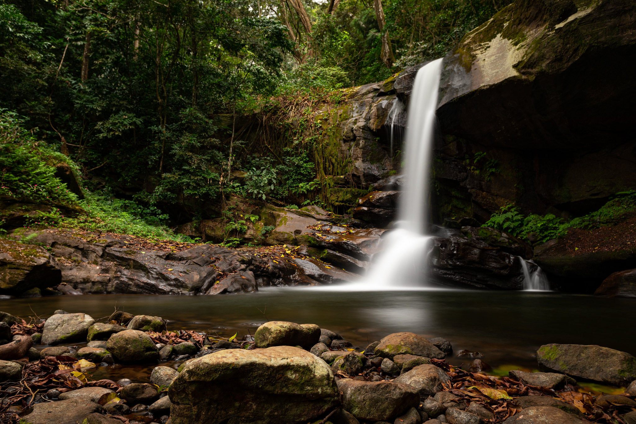 Udzungwa Mountains National Park