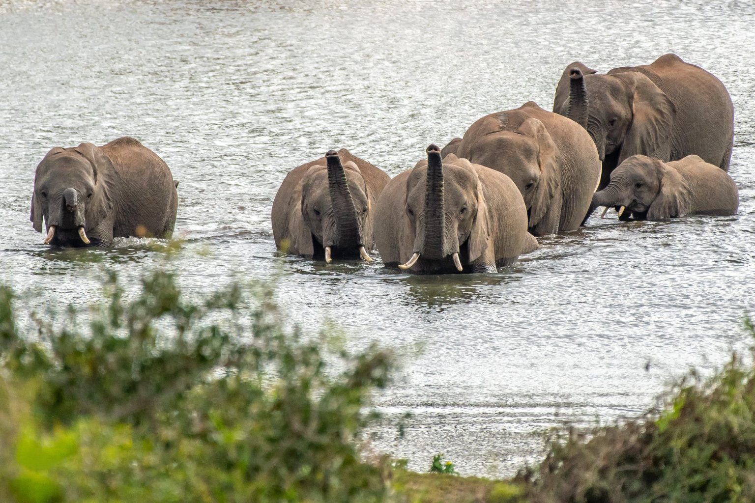 Walking Safaris in Tanzania